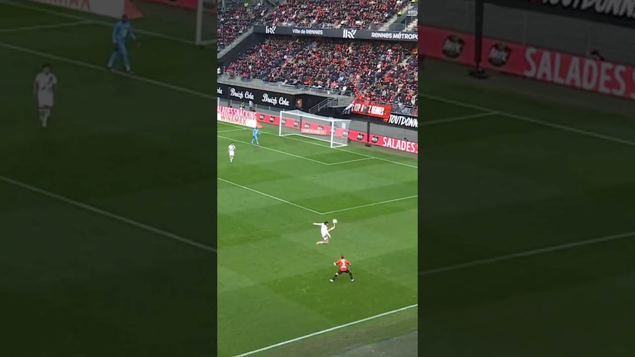 Mr. Khvicha Kvaratskhelia 🦅 #Ligue1 #PSG #Kvaratskhelia