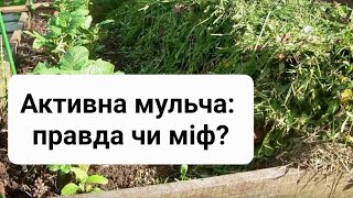 видео: ЧИ ДІЙСНО ПРАЦЮЄ АКТИВНА МУЛЬЧА VOGORODE.PRO - ПЕРЕВІРИЛА! картинка: ЧИ ДІЙСНО ПРАЦЮЄ АКТИВНА МУЛЬЧА VOGORODE.PRO - ПЕРЕВІРИЛА!