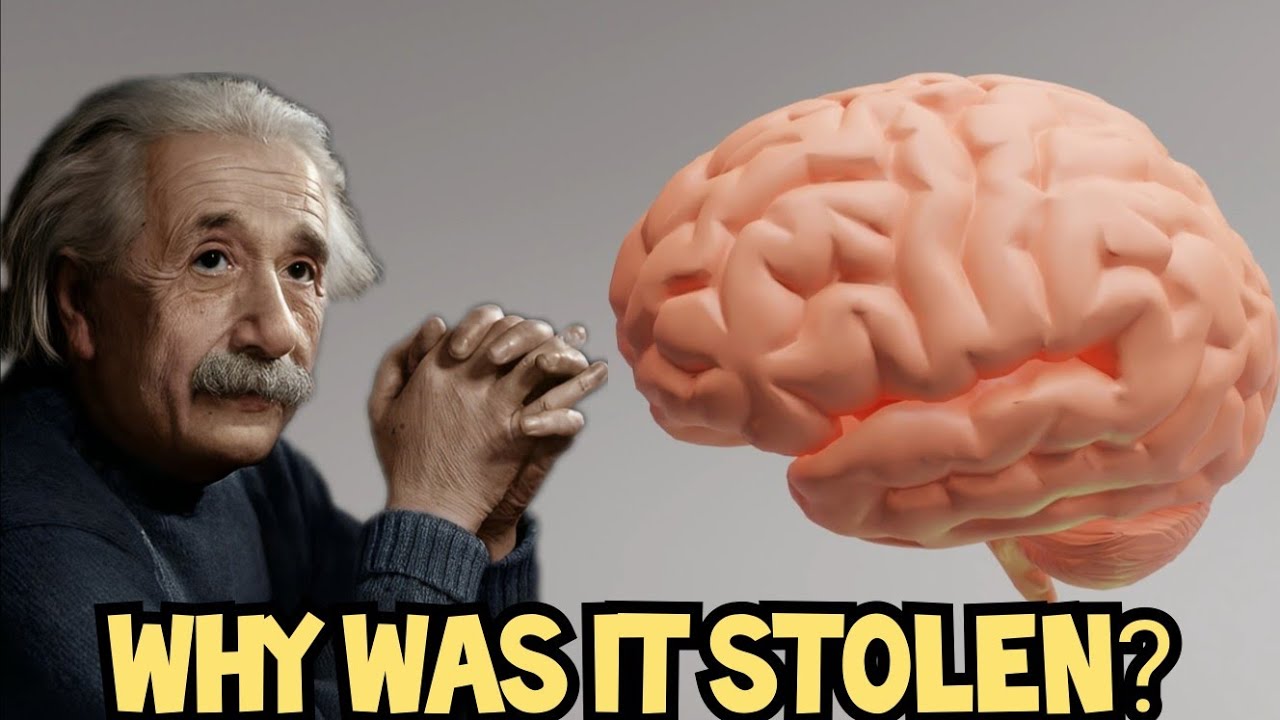 Why was Einstein's Brain Stolen after his Death?