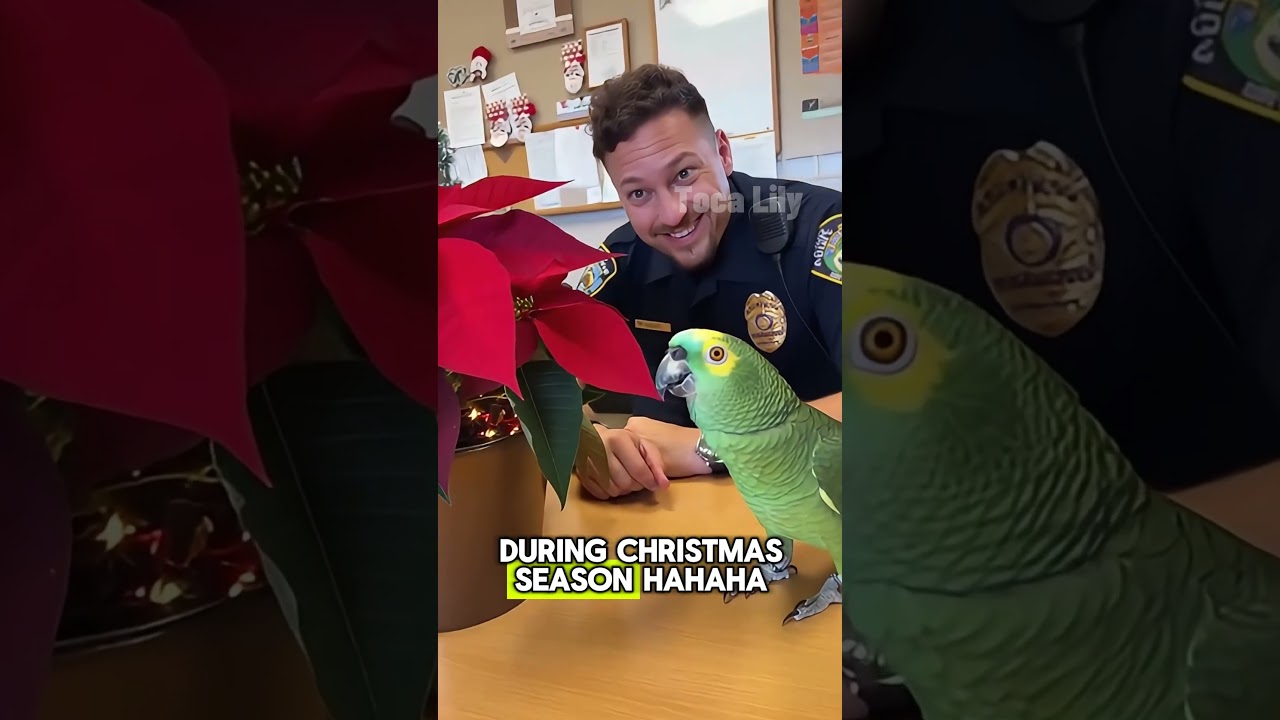 Говорящий попугай довел женщину-офицера до истерики от смеха 😜 