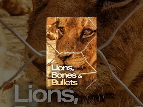 Lions, Bones & Bullets