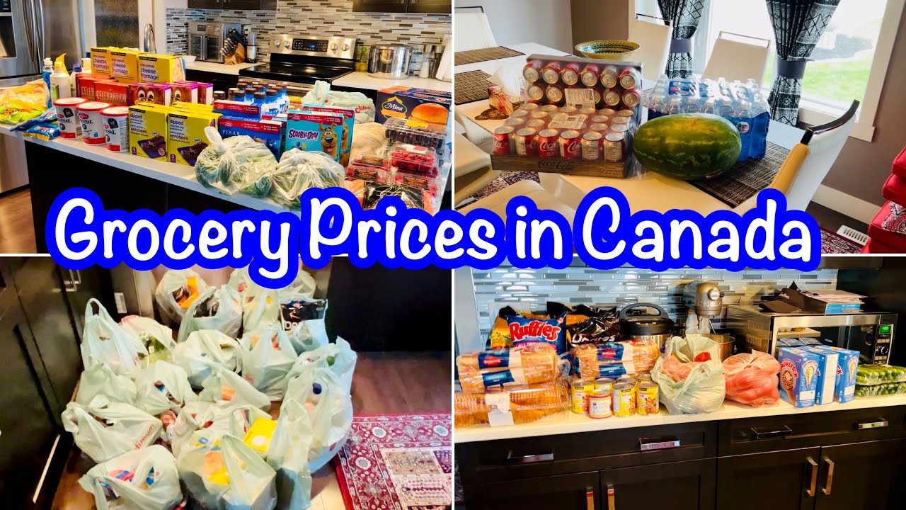 Grocery Prices in Canada Grocery Haul Urdu/Hindi Vlog YouTube