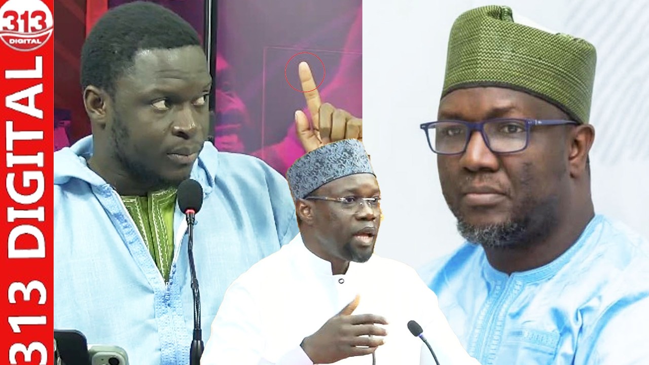 Cheikh Omar Diagne inculpé et libre: Réaction de Vito Gaye «500mil lay diokhé….»