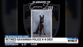 Savannah Police Department announces the passing of retired K-9 Ziggy