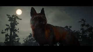 Red Dead Online Naturalist - Legendary Cross Fox
