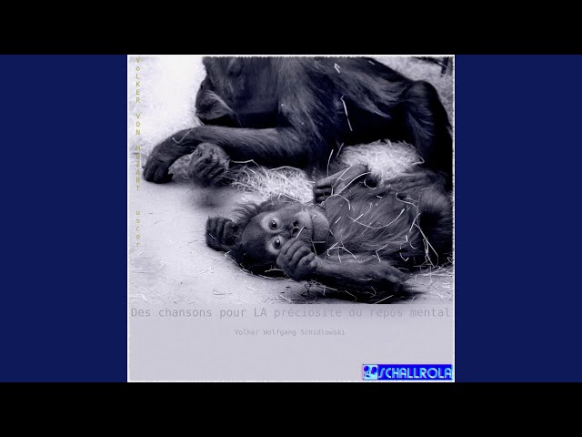 Chanson du singe en colère