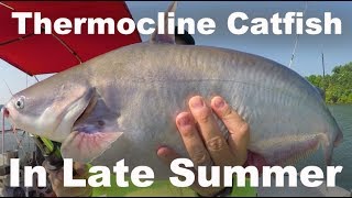 Catfishing Around A Thermocline - What is a Thermocline - How Does the Thermocline Affect Catfish