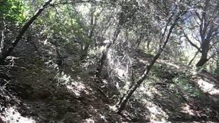 MVI_6060.AVI