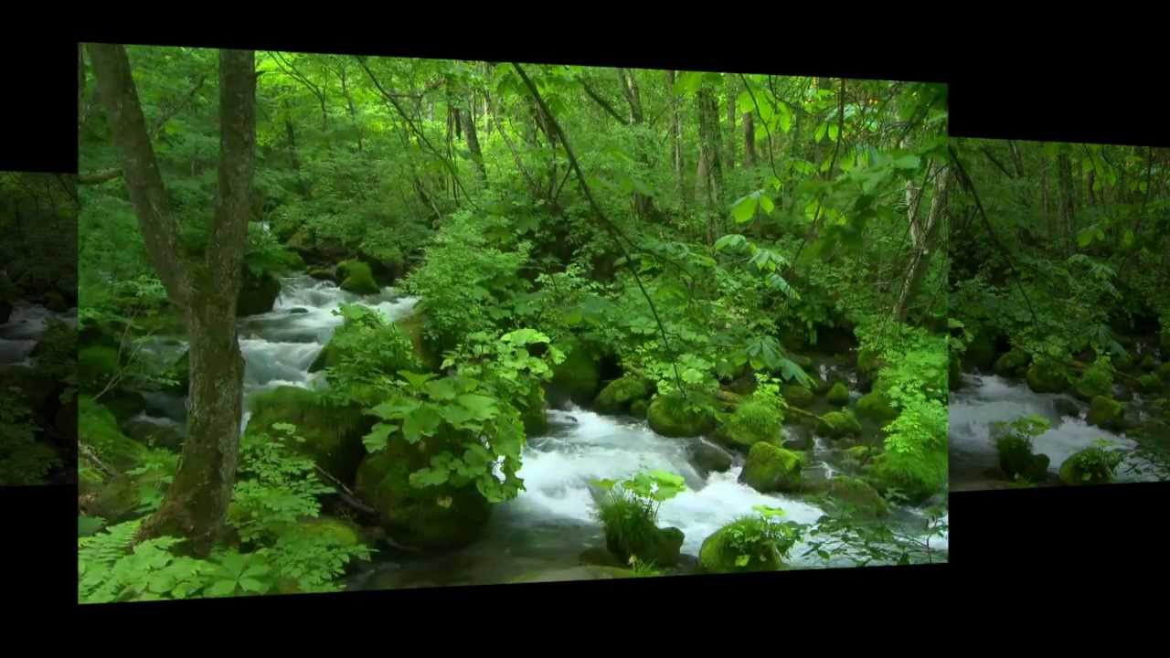 Sugarstone Creek - Newgrass - Bluegrass Music