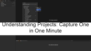 Understanding Projects: Capture One in One Minute