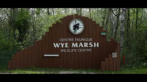 Welcome to your Midland Campus community