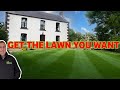 End of SUMMER lawncare | Beginner lawn care tips