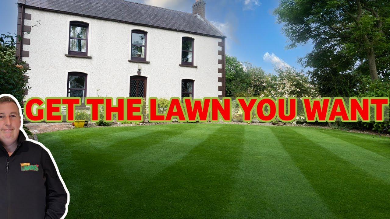 if-you-want-a-good-lawn-next-year-follow-these-tips-beginner-lawn