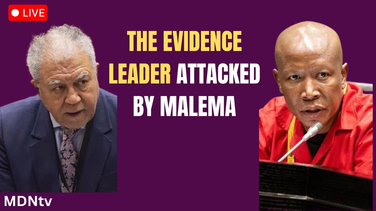 🔥 PHALANE BACK IN PARLIAMENT | EVIDENCE LEADER ATTACKED BY MALEMA 🇿🇦