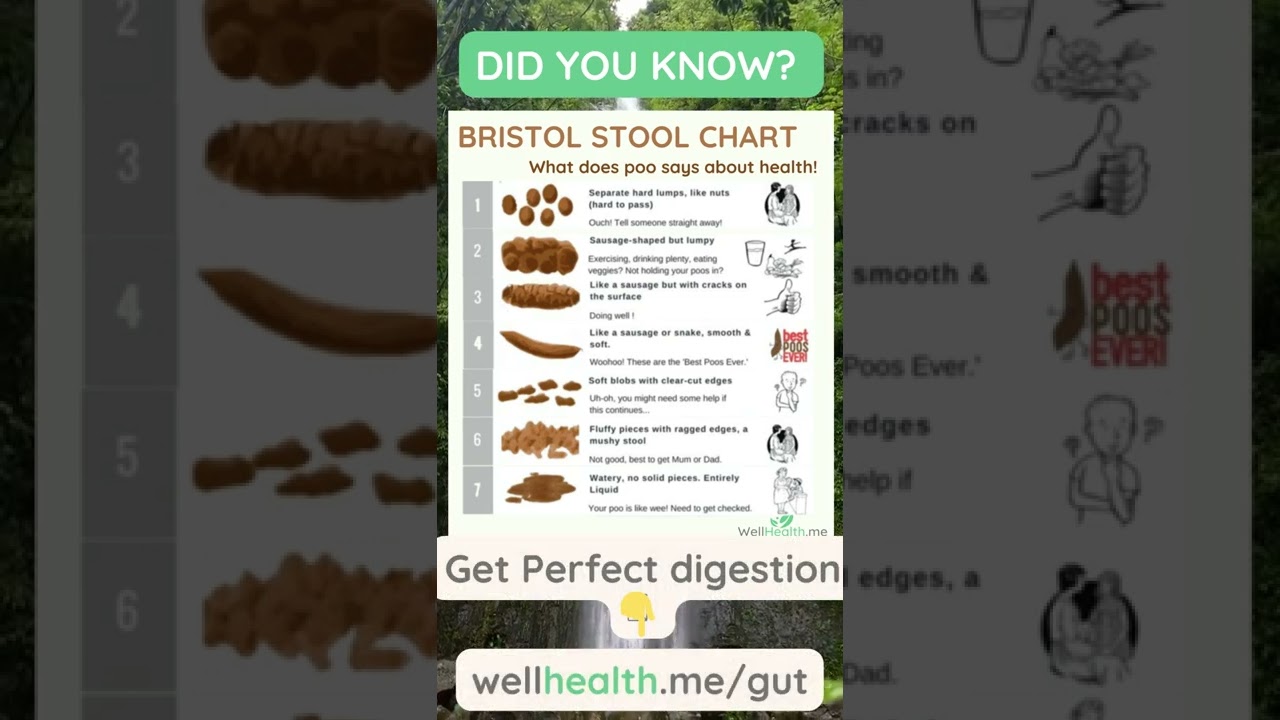 stool chart, know the difference