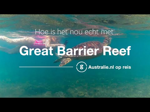 Video: 7 Redenen Om Een duikreis Naar Het Great Barrier Reef - Matador Network Te Boeken