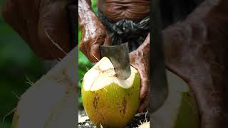 Perfect Tender Coconut Cutting Sounds