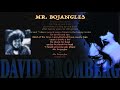 MR. BOJANGLES - DAVID BROMBERG LIVE  w/Words of Song &amp; Talk