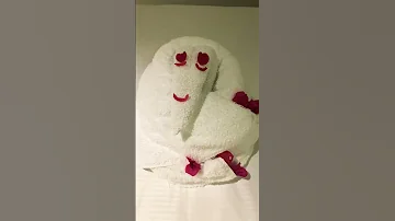 Towel animal (artwork)