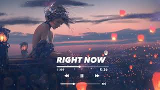 Akon - Right Now (Na Na Na) ( Remix)