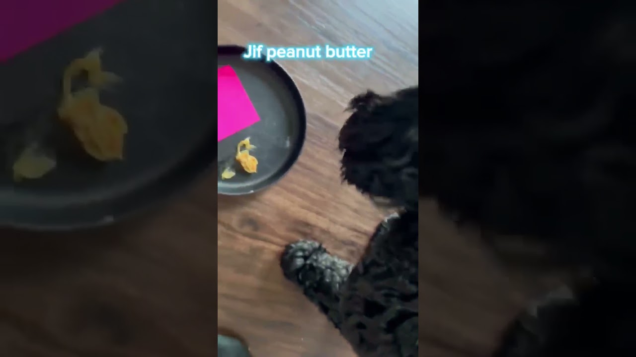 Skippy peanut butter versus Jif peanut butter! (Watch to the end to find out who wins)