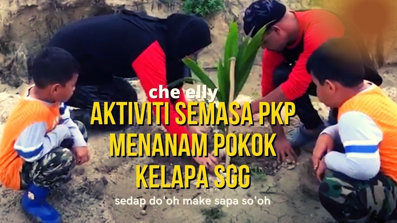  48 Aktiviti Semasa PKP Menanam Pokok Kelapa SGG YouTube