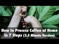 كيفية معالجة القهوة في المنزل في 7 خطوات نسخة 2 5 دقيقة