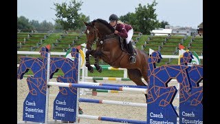 Acanto Blue, 5y old gelding Acantus x Chacco Blue