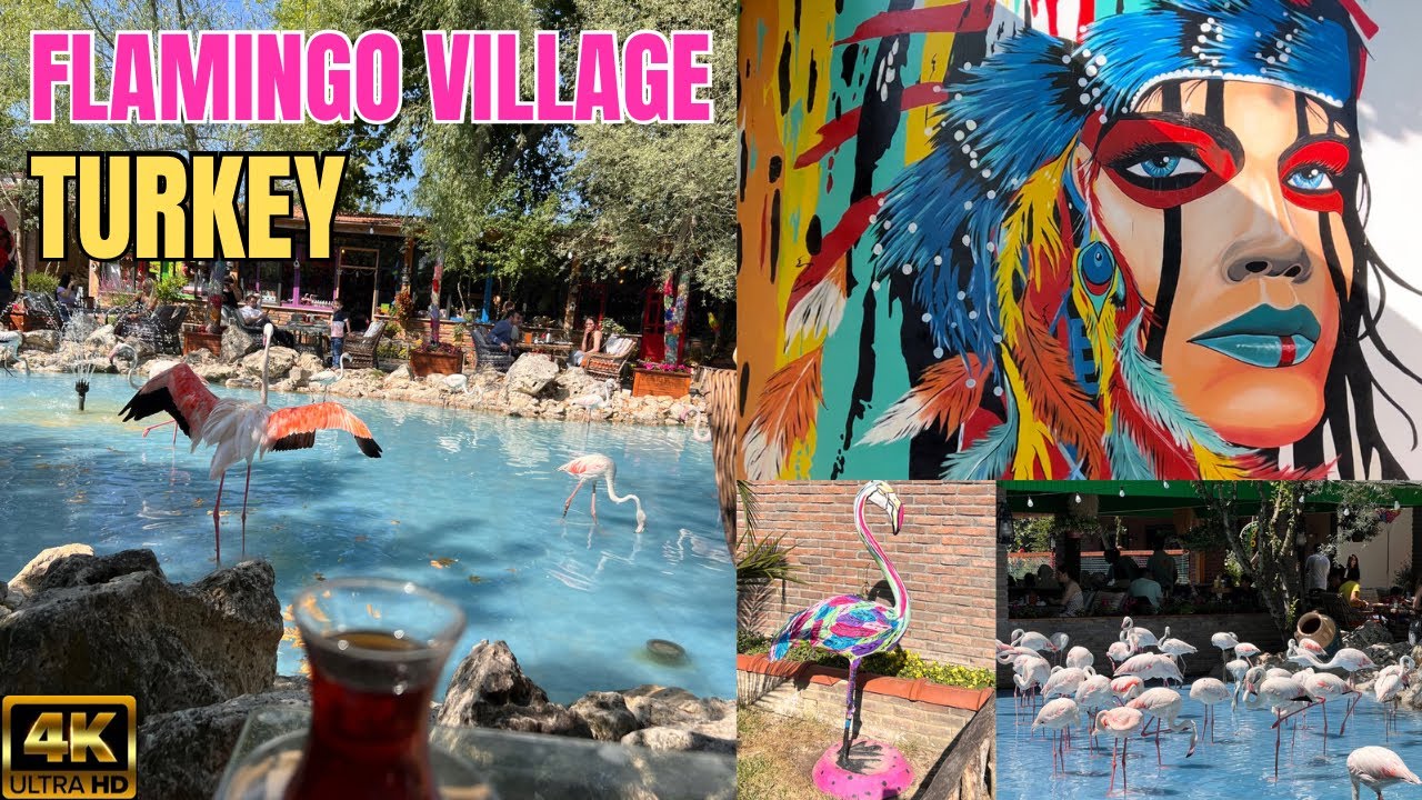 🇹🇷Turkey Istanbul Flamingo Village Flamingo köyü 4K