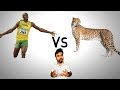 दुनिया का सबसे तेज़ इंसान vs चीता / Usain bolt vs cheetah Scientific Explanation