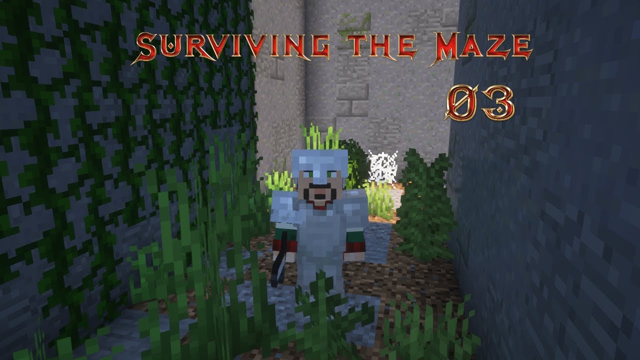 Surviving The Maze | Ep 3 | First Night inside the Maze Plus New Clue ...