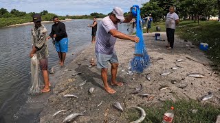 Você já viu um bolo de peixe? A pescaria de hoje foi insana!