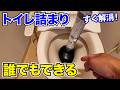 【トイレ詰まり直す方法】誰でも簡単にできるラバーカップの使い方