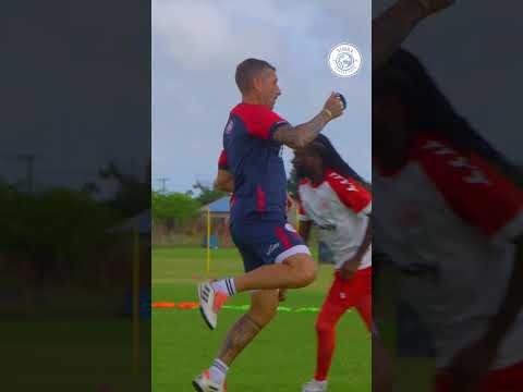 VITU VYA DIMITAR PANTEV