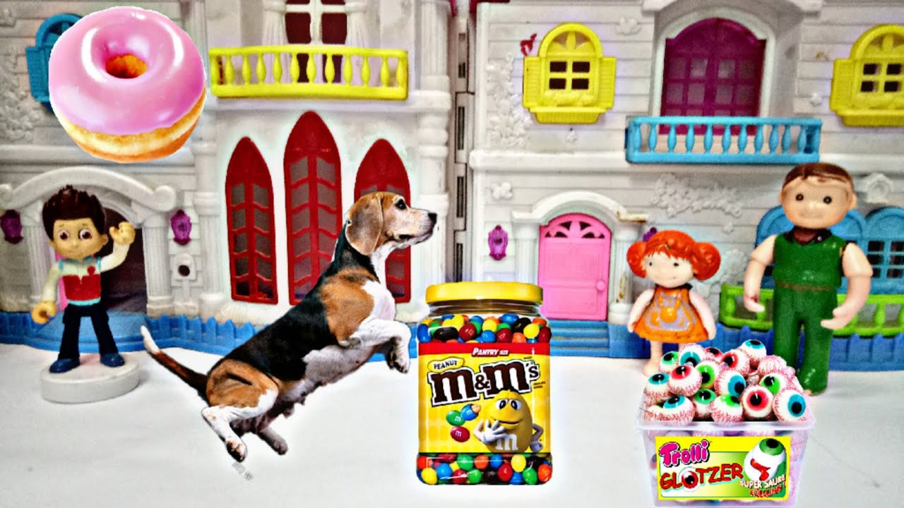 ليلى بتلعب مع الكلب الذكي l ليلى جابتله أكل لذيذ l يا ترى ليلى هتعمل إيه l يوميات ليلى