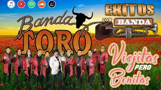Banda Toro - El Caminante Recordando los Exitos - Bandas Viejitas Pero Bonitas Mix