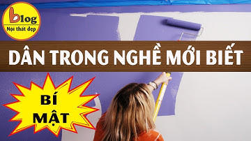 Hướng dẫn tự sơn tường nhà chi tiết từ A đến Z cho người lần đầu thử sức