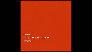 F.S. Blumm &amp; Nils Frahm - Valentine My Funny