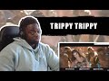 Trippy Trippy Song | BHOOMI | Sunny Leone | Neha Kakkar | Benny | Brijesh | Badshah | REACTION