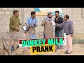  donkey milk prank  by nadir ali  team in  p4 pakao  2022