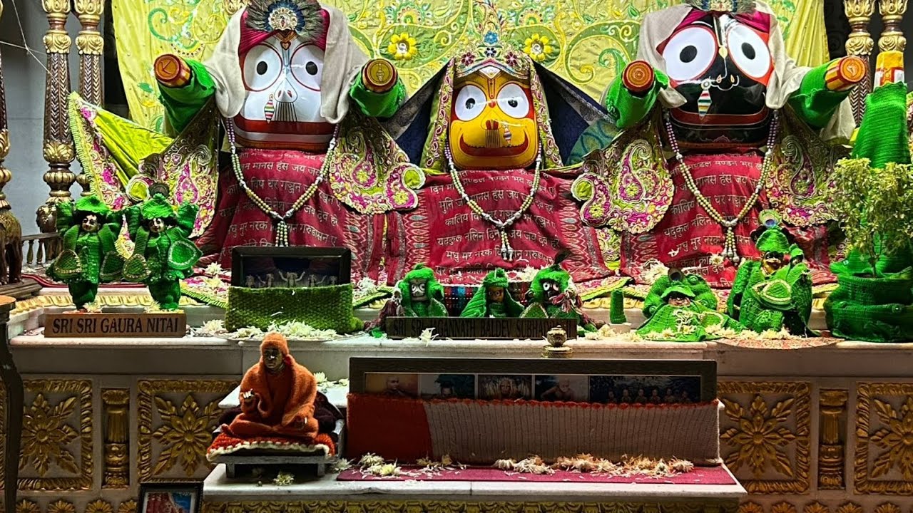 Ludhianatravel vlog day 6 