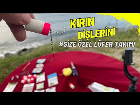 Zincirli Çinekop Dip