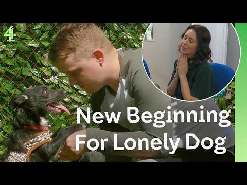 Rescue Dog's New Beginning Will Break Your Heart thumbnail