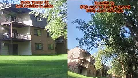 tarsier 4K vs Insta360 go 1080p