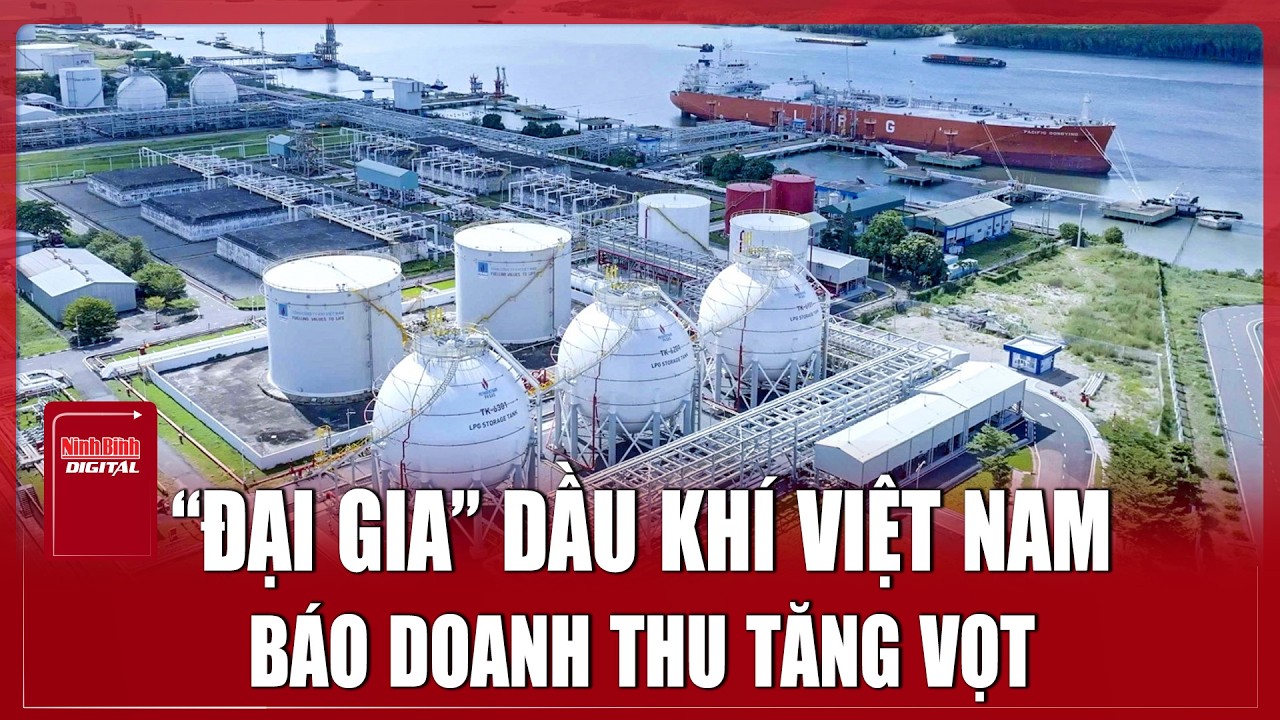 Giá dầu thế giới chao đảo, một “ông lớn” dầu khí Việt Nam báo doanh thu tăng vọt | Ninh Bình Digital