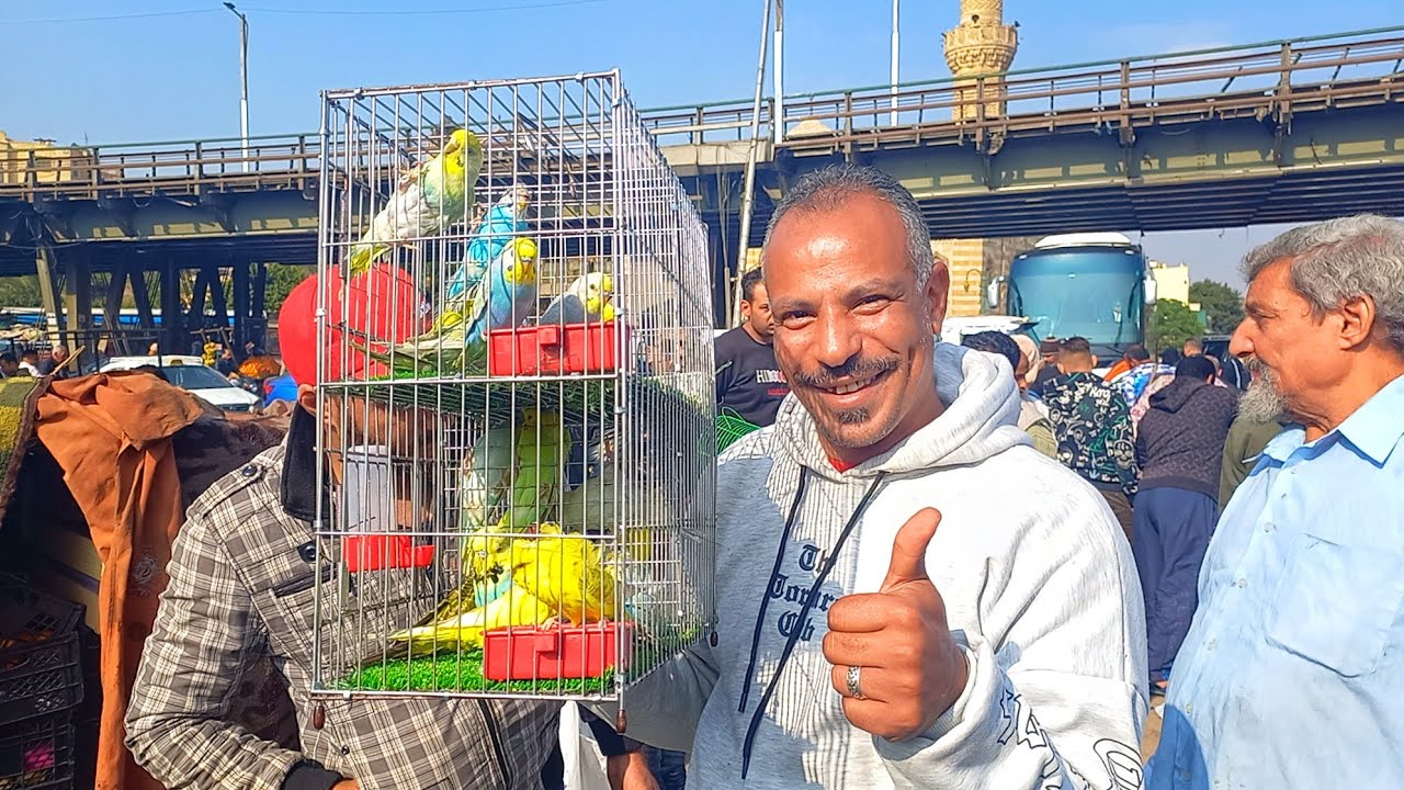 تقرير سوق الأحد هل في لم عصافير ولا مفيش⁉️وأسعار اللم والتداول⁉️واخبار السوق الأحد ١١يناير💚⚘️