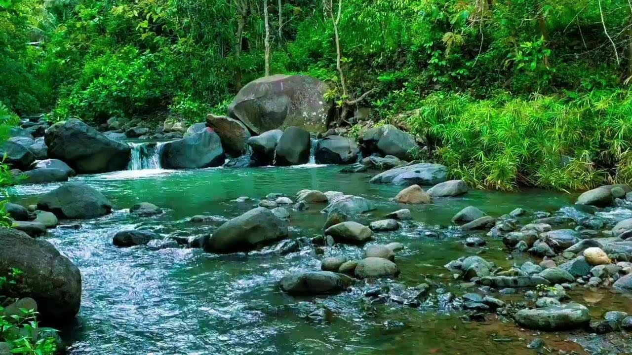 Relaxing River Sound emotional therapy to relieve stress and mental disorders for sleeping