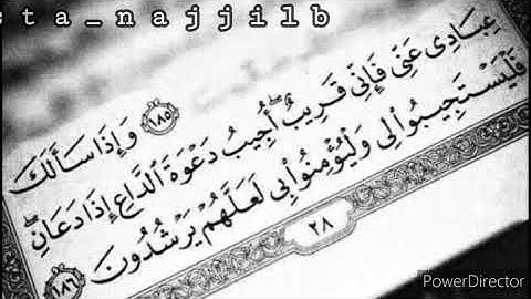 و إذا سألك عبادي عني فإني قريب...سورة البقرة، القارئ أنس براق