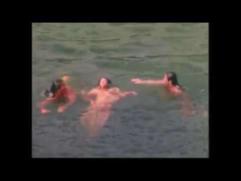 The Holydrug Couple — The Holydrug Couple - Vase of flowers