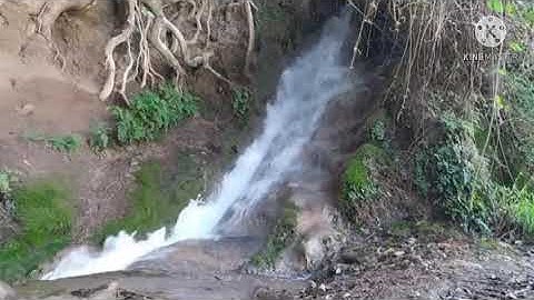 سوره الشرح بصوت الشيخ عبد الباسط عبد الصمد